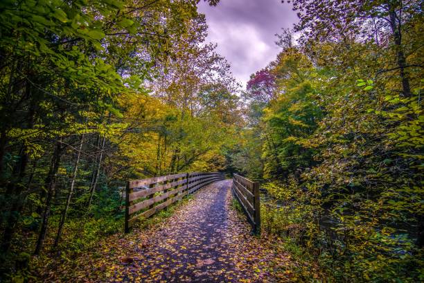 istock Scenic views along virginia creeper trail 1158584418