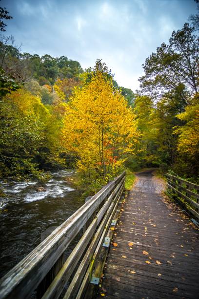istock Scenic views along virginia creeper trail 1158584578