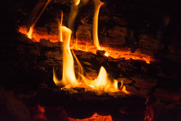 istock Burning wood campfire in the night darkness 1158584605