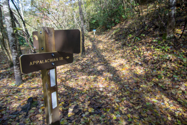 istock Scenic views along virginia creeper trail 1158585168