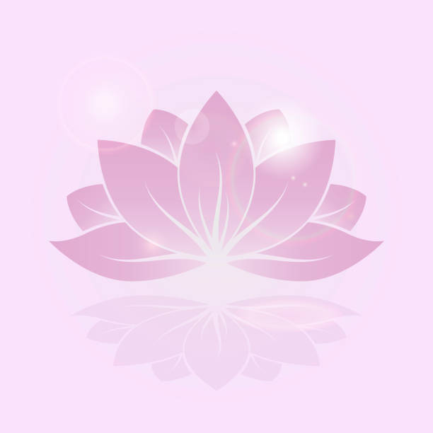 цветок блеск лотоса - lotus water lily lily pink stock illustrations
