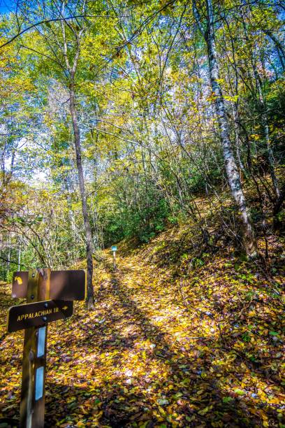 istock Scenic views along virginia creeper trail 1158585788