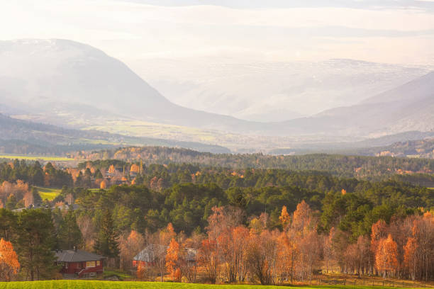 Fall in Oppdal, Norway Morning fog in the mountains, indian summer in Oppdal, Norway oppdal stock pictures, royalty-free photos & images
