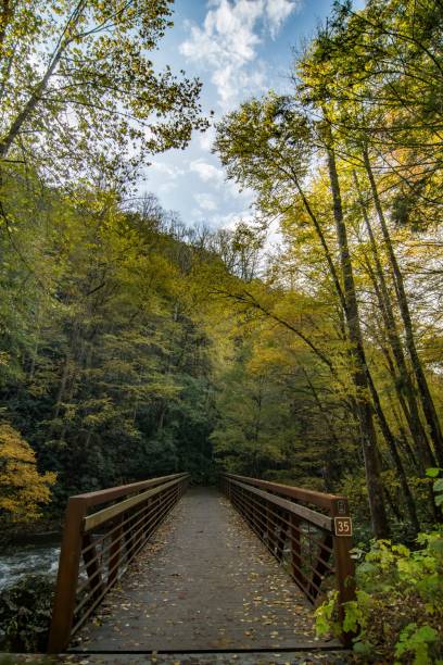 istock Scenic views along virginia creeper trail 1158585866