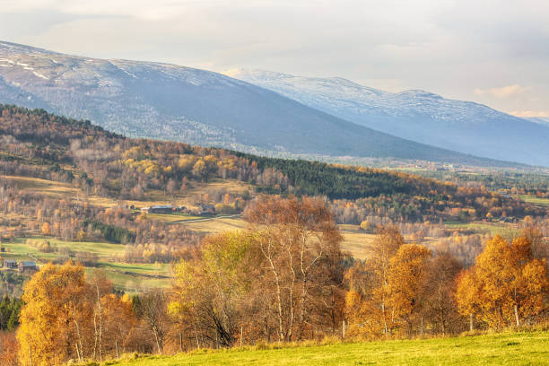Fall in Oppdal, Norway Indian summer in the mountains in Oppdal, Norway oppdal stock pictures, royalty-free photos & images