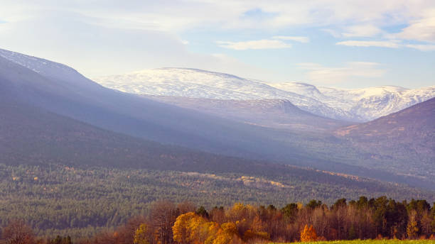Fall in Oppdal, Norway Fall in the mountains in Oppdal, Norway oppdal stock pictures, royalty-free photos & images
