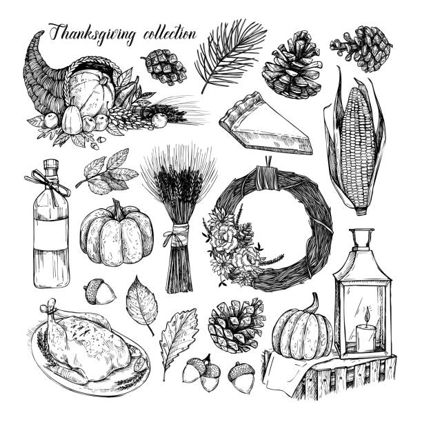 ilustrações de stock, clip art, desenhos animados e ícones de hand drawn vector illustration - thanksgiving collection. perfect for invitations, greeting cards, prints, packaging  and more. autumn design elements. fall leaves - autumn collection
