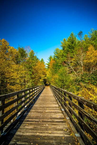 istock Scenic views along virginia creeper trail 1158586363