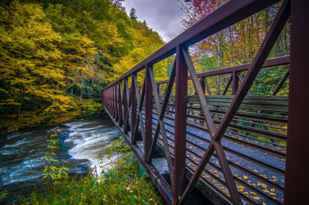 istock Scenic views along virginia creeper trail 1158586545