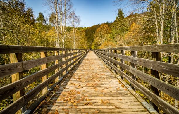 istock Scenic views along virginia creeper trail 1158586684