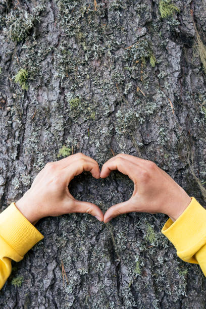 istock Show you Love. Make it happen. 1158588955