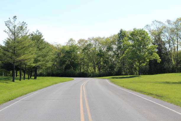 istock Middle of Empty Street 1158590816
