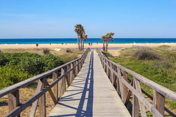 istock Bridge to the sea in Tarifa beach 1158592258