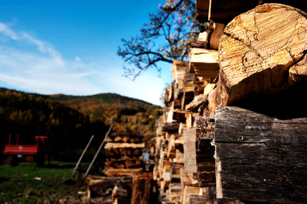 Stack of old wood for firewood in a rural autumn landscape