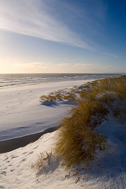 istock Sun Sand Sea and snow 115859469