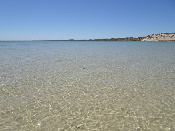 istock Coral Bay, WA 1. 1158594859