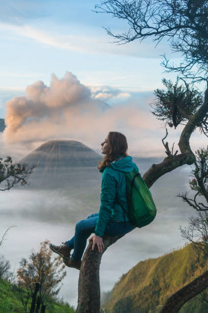 istock Woman sitting on tree and looking at  Bromo volcano at sunrise 1158596297
