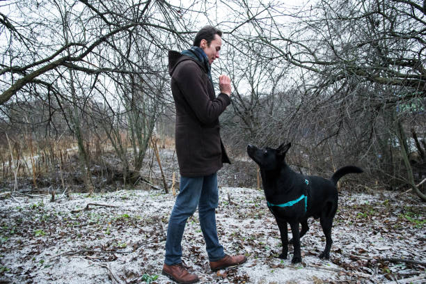 istock A man with a mongrel dog walking on a winter meadow 1158597021