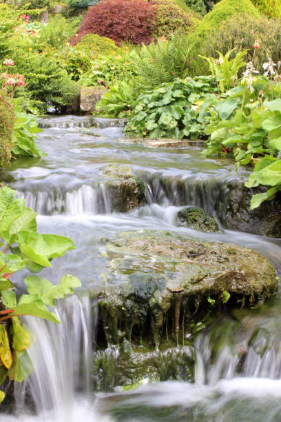 imagen de agua cascada jardín natural característica que conecta dos estanques en el jardín oriental ajardinado con fotografía de agua de larga exposición en la cámara / velocidad de obturación lenta para hacer que el agua de flujo rápido azul borr - forest pond landscaped water fotografías e imágenes de stock