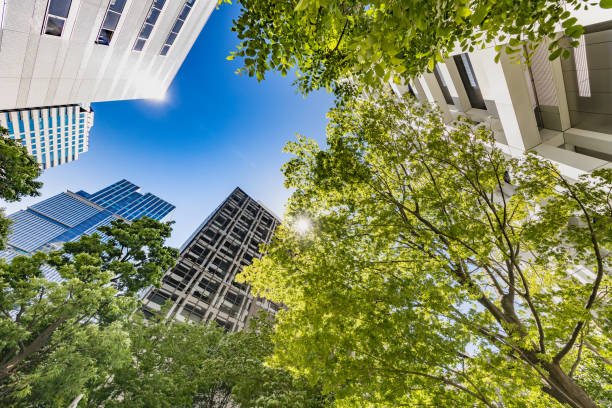 istock Fresh green and urban buildings 1158597506