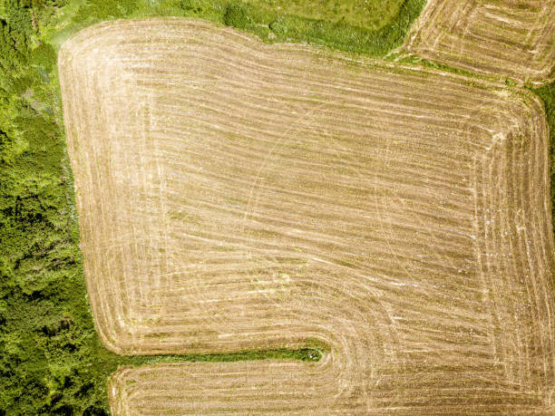 istock cultivated agriculture fields from above birds eye in summer 1158597648