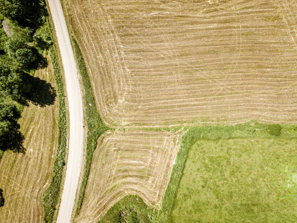 istock country road in green forest and fields drone aerial image 1158597651