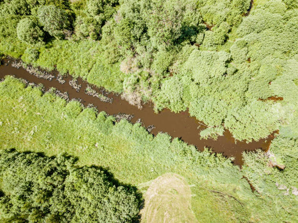 istock country river in green forest. drone aerial image 1158597689