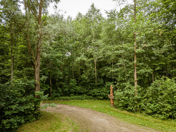istock country road in green forest and fields drone aerial image 1158597729