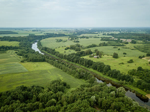 istock country river in green forest. drone aerial image 1158597750