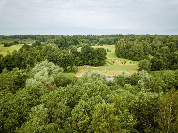 istock endless green forest from drone aerial image in summer 1158597761