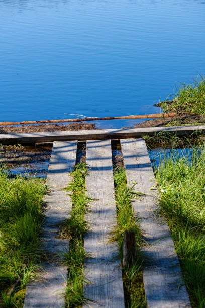 istock calm summer day evening by the forest lake in forest 1158597940
