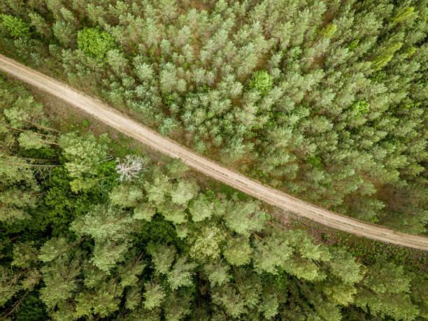istock country road in green forest and fields drone aerial image 1158597985