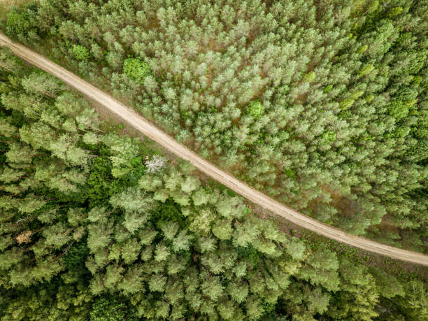 istock country road in green forest and fields drone aerial image 1158597998