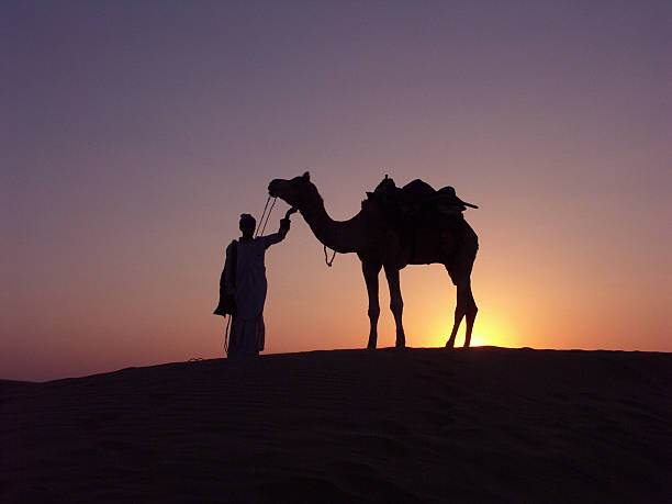 istock Cameldriver and camel standing on dune at sunset,Jaisalmer,Rajasthan 115859882