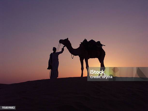 Foto de Cameldriver E Em Pé Nas Dunas De Camelo Ao Pôrdosol Jaisalmer Rajasthan e mais fotos de stock de Adulto