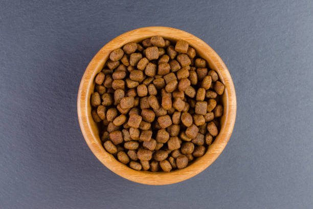 istock dog food in a bowl on black background, flat lay 1158599280