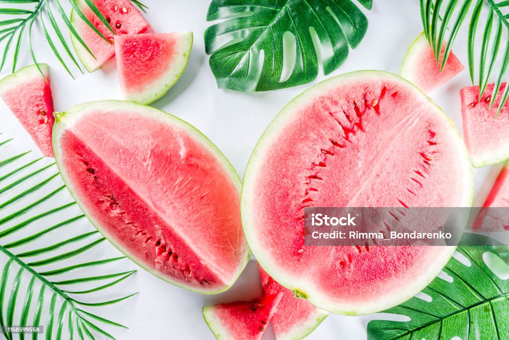 Watermelon Html Code Creative Watermelon Layout Stock Photo - Download Image Now - Above ...