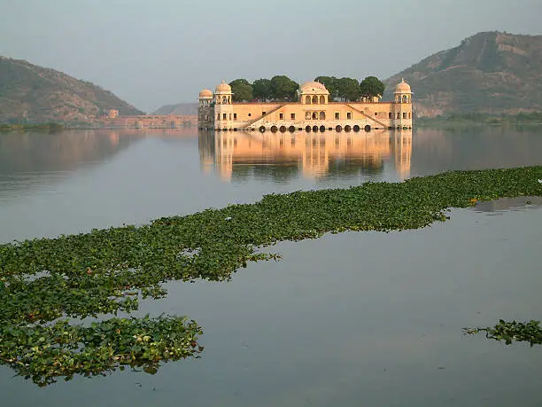 The Waterpalace,built in pink sandstone, is situated in a lake in the pink city of Jaipur in Rajasthan,India.Water hyacinths are growing in the lake.