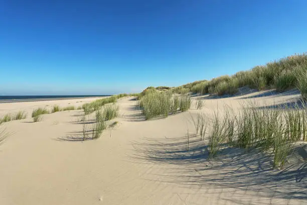 coastal dunes on german island Borkum