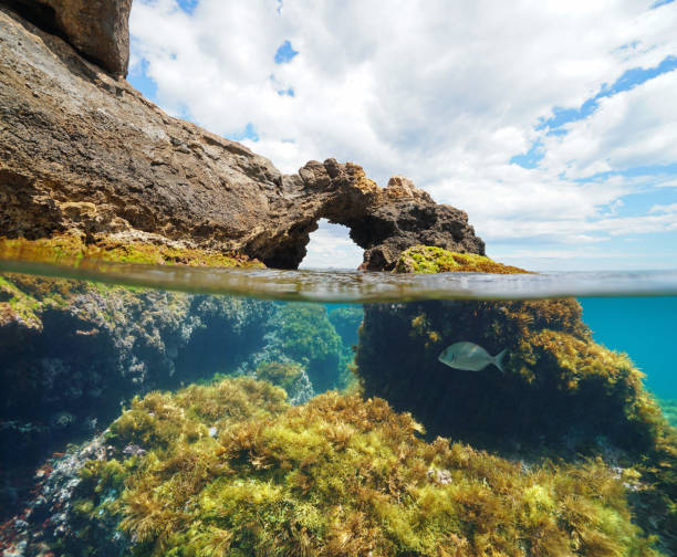 istock Natural rock formation Mediterranean sea 1158602441