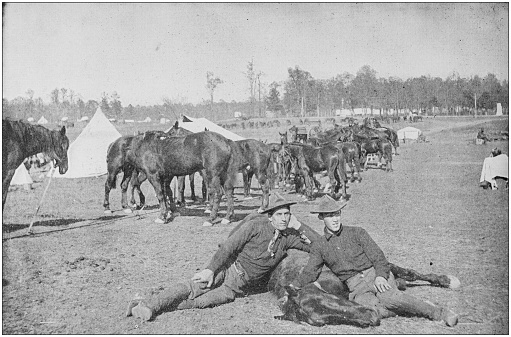 US Army black and white photos: Cavalry soldiers with sick horse