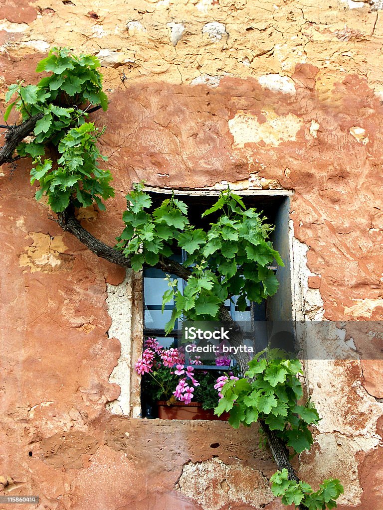 Dilapidée de mur avec des vignes et pelargonium fleurs, Roussillon, Provence, France - Photo de Provence-Alpes-Côte-d'Azur libre de droits