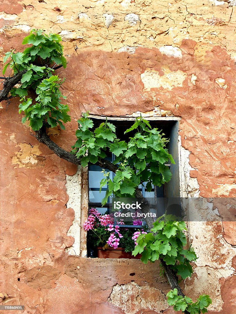 Deteriorado parede com vinhas e pelargonium flores, Rousillon, Provence, França - Foto de stock de Provence-Alpes-Côte d'Azur royalty-free