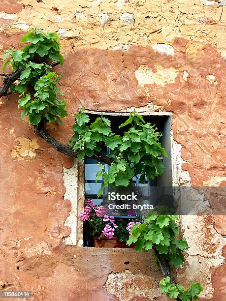 Foto de Deteriorado Parede Com Vinhas E Pelargonium Flores Rousillon Provence França e mais fotos de stock de Provence-Alpes-Côte d'Azur