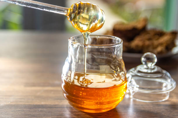 istock Honey Har and Honey 1158605202