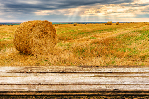Empty wooden table with blurred autumn landscape of beveled field and straw bales. Can be used for display or montage products