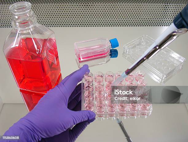 Culturing Cells 3 Stock Photo - Download Image Now - Biological Cell, Laboratory, Bench