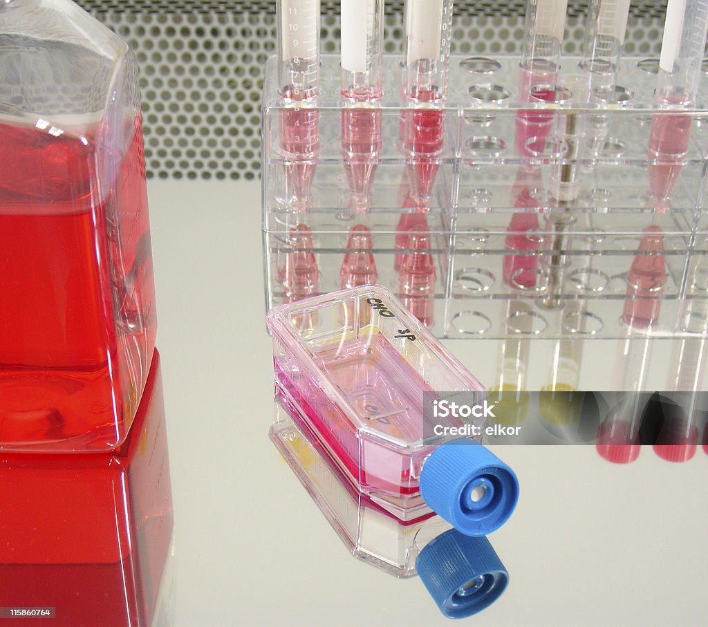 Cell culture 1 Sample flasks and tubes containing culture medium and cells in a biomedical research laboratory Biological Cell Stock Photo