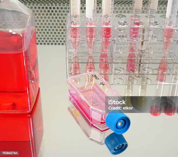 Cell Culture 1 Stock Photo - Download Image Now - Biological Cell, Cultures, Laboratory Flask