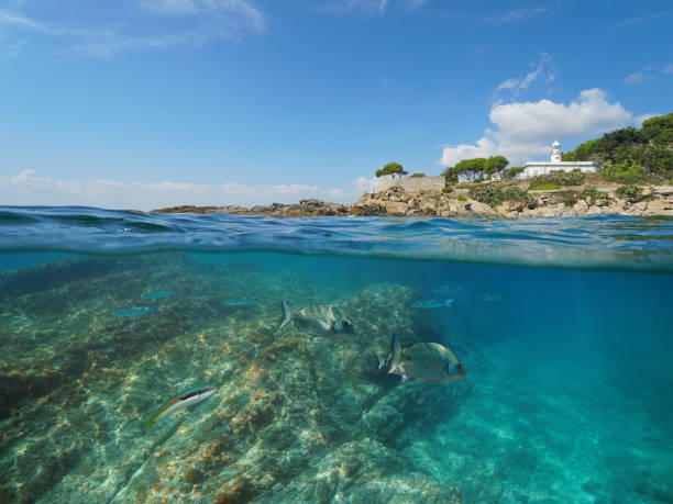 istock Rocky coast with lighthouse and fish underwater 1158607846